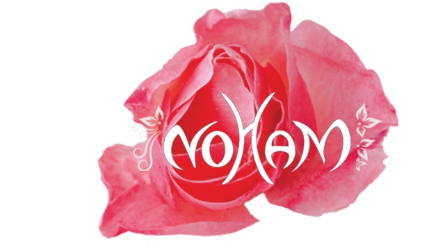 logo noham